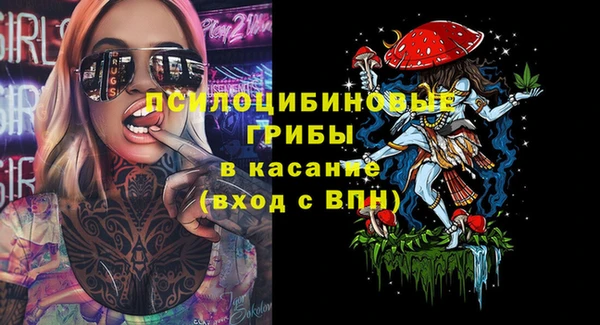 крисы Белоозёрский